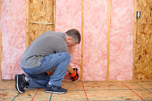 Best Local Insulation Services  in Geneva, IN